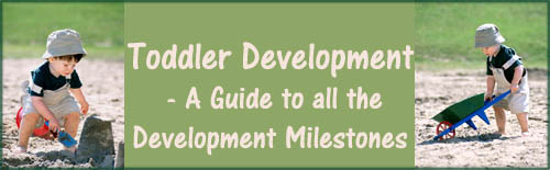 Toddler development guide to all the toddler milestones: Boy playing in the sand with wheelbarrow. Toddler development guide to all the toddler milestones: Boy playing in the sand with wheelbarrow.