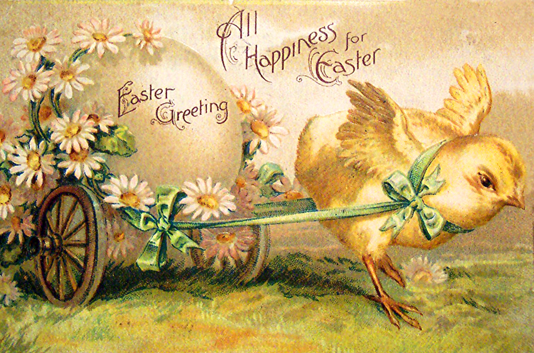 Decorative free Easter postcard with chicken pulling an egg.