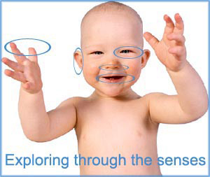During the first year the senses help reach many milestones: Illustration with baby with circles around the bodily senses.