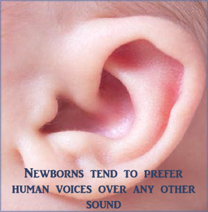 Close-up picture of a baby's ear. Don't hold back on your singing.