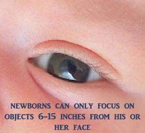 Newborn development of eye sight. Picture of a baby's eye.