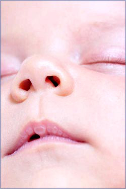 Close-up of infant sleeping.
