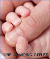 The infant milestone of the grasping reflex. Baby clenching around finger.