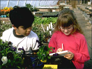 Two children in the pre-operationel stage of child development: girl writing.