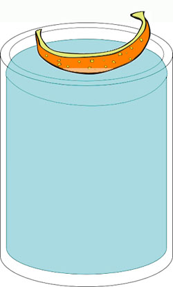 The floating orange peel in a jar of water experiment for kids.