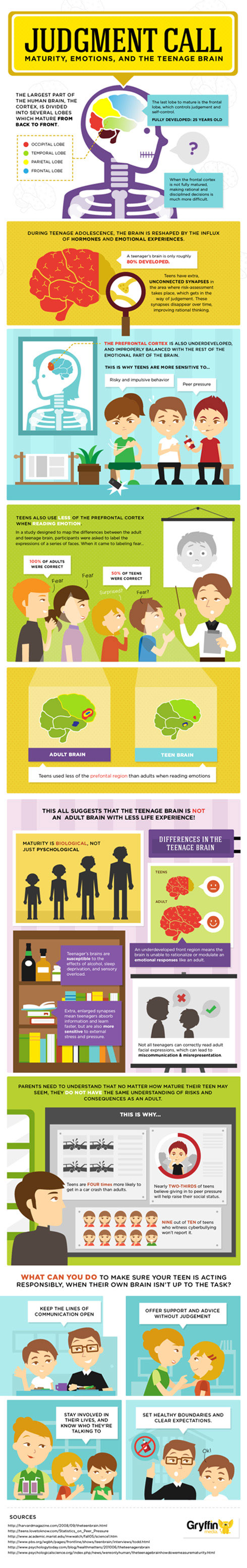 Infographic teenage brain development