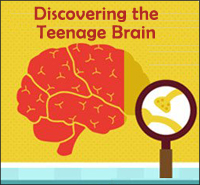 Teenage brain.