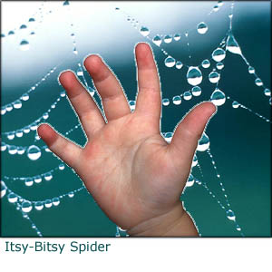 Itsy bitsy spider is an example of a great toddler activity: Picture of child hand with a spider web in the background.