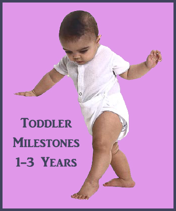 Toddler Development Chart