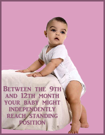 Milestones of the 9th, 10th, 11th and 12th month: Baby lifting himself up and standing with support.