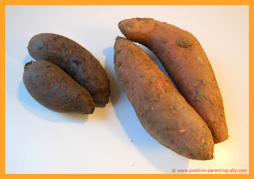 Using sweet potatoes and beetroot for chips.