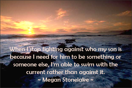 Parenting quote by Megan Stonelake on swimming with the current.