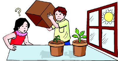Easy science fair projects for kids: Growing plants in ligth and darkness.