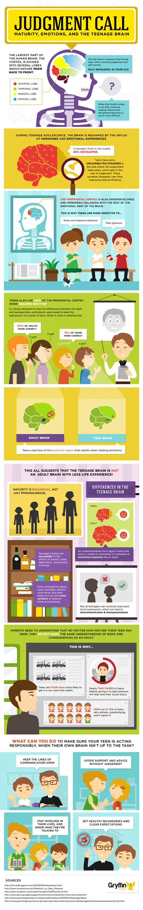 Infographic teenage brain development