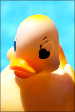 Toddler outdoor games in the summer - a pool party in the garden. Picture of yellow rubber duck.