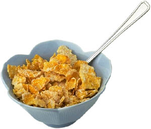 Great activities for toddlers: A bowl of cornflakes for the sensory lab.