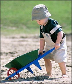 New toddler development: Little boy pushing a wheelbarrow in the sand.