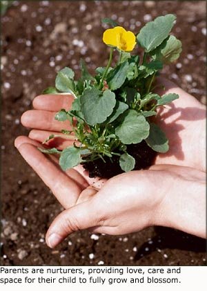 Hands holding plant with yellow flower.
