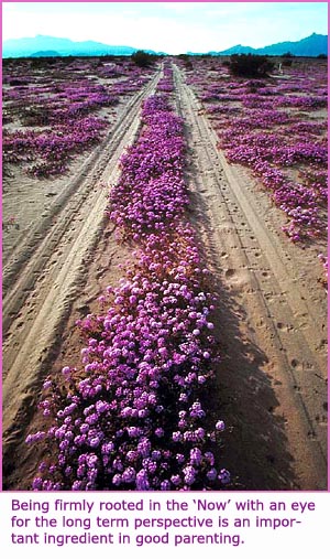 Photo of a heath or moore with purple flowers. Road track going into the far horizon.