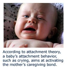 Secure attachment behavior - baby crying